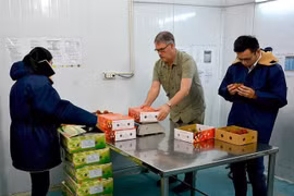 Tin vui: Bộ Nông nghiệp Mỹ đặc cách cử chuyên gia sang Việt Nam giám sát xuất khẩu trái cây