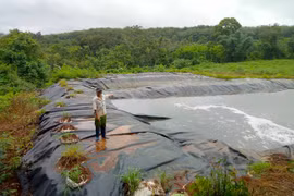 Bảo vệ môi trường trong chăn nuôi: Phải thường xuyên, lâu dài