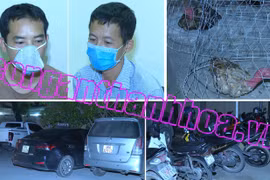 Bắt quả tang 85 người chơi đá gà ăn tiền, thu giữ 16 con gà chọi, 46 xe máy, 9 xe ôtô