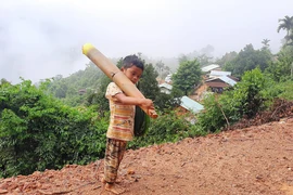 Cậu bé chân trần vác khúc măng rừng gửi miền xuôi chống dịch