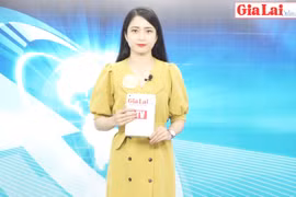 Gia Lai 48h: Ngăn chặn tình trạng xâm hại tài nguyên rừng