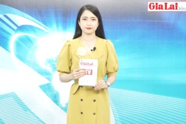 Gia Lai 48h: Ngăn chặn tình trạng xâm hại tài nguyên rừng