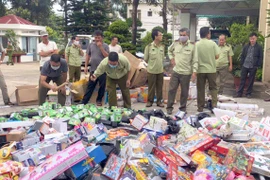 Gia Lai: Tiêu hủy hàng hóa vi phạm hành chính