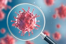 Lần đầu "bắt" được virus SARS-CoV-2 còn sống trong không khí