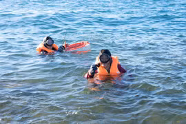 Săn nhum biển ở Ba Làng An