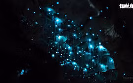 Video: Vẻ đẹp kỳ ảo của hang động tại New Zealand