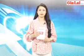 Gia Lai 48h: Đại hội đại biểu Đảng bộ TP. Pleiku lần thứ XII