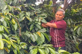 AYim: Tuổi cao chí càng cao