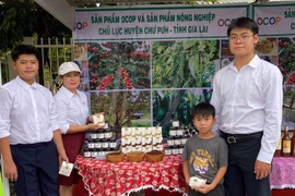 Chư Pưh nỗ lực mở rộng thị trường tiêu thụ nông sản