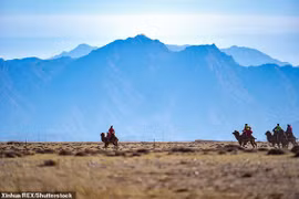 17 tỉnh Mông Cổ cảnh báo "cái chết đen", Trung Quốc sợ dịch chồng dịch