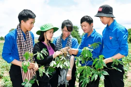 Sôi nổi chiến dịch thanh niên tình nguyện hè