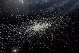 Phát hiện "dải ngân hà" ma quái từng bị "quái vật" chứa Trái Đất xé nát