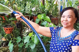 Nữ biệt động được tặng Huy hiệu Bác Hồ