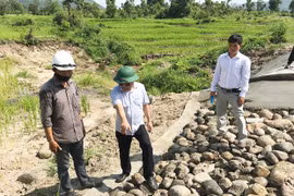 Thủy lợi Plei Keo: Kiểm tra kết quả khắc phục một số điểm hư hỏng