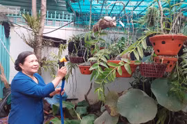 Nữ Bí thư Tỉnh ủy đầu tiên của Tây Nguyên