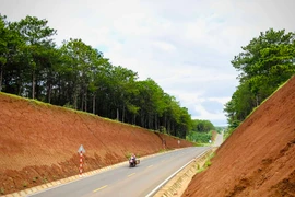 "Sahara thu nhỏ ở Gia Lai"