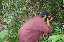 Thầy giáo bắn chết đồng nghiệp vì tưởng là thú rừng