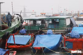Ngư dân hối hả đưa hải sản vào bờ tránh bão số 2