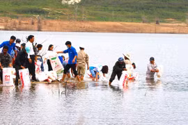 Thả gần 85 ngàn con cá giống xuống lòng hồ thủy điện Ka Nak