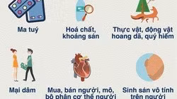 8 ngành nghề cấm đầu tư kinh doanh mới nhất