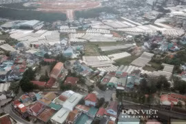 Đà Lạt: Hiếm có, làng hoa lập bàn thờ thờ 36 cụ ông, cụ bà từ tỉnh Hà Đông vào lập nghiệp