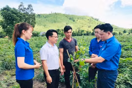 Bàn giao công trình, phần việc thanh niên tại xã Chư A Thai