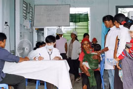 Gia Lai: Chỉ đạo quản lý chặt chẽ chó nuôi và phòng bệnh dại