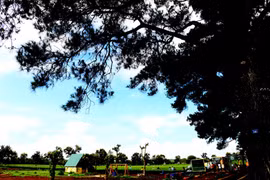 Đôi mắt Pleiku Biển Hồ đầy