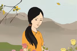 Đóa hồng trong mưa