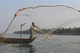 Nghiên cứu những tác động từ dự án thủy điện trên dòng chính sông Mê Kông: Việc làm cấp thiết