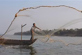 Nghiên cứu những tác động từ dự án thủy điện trên dòng chính sông Mê Kông: Việc làm cấp thiết