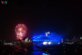 Màn pháo hoa sớm đón Năm Mới rực sáng trên Cầu cảng Sydney, Australia