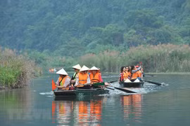 Vẻ đẹp say đắm lòng người ở Tràng An trong mùa lau trắng