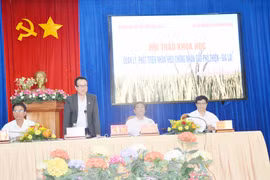 Hội thảo "Quản lý, phát triển nhãn hiệu chứng nhận Gạo Phú Thiện-Gia Lai"