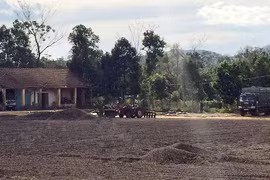 Xay xát cà phê gây ô nhiễm môi trường