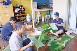 Tết Việt ở đất nước Kangaroo