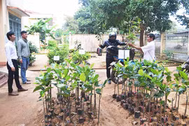 Chư Prông: Nhiều mô hình sản xuất mang lại hiệu quả cao