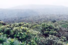 Khám phá Vườn Quốc gia Kon Ka Kinh - "Nóc nhà của Gia Lai"