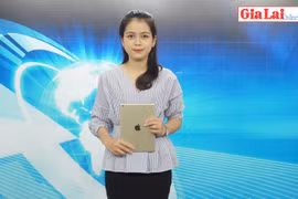 Gia Lai 48h: Tỉnh lộ xuống cấp nghiêm trọng, thiếu kinh phí sửa chữa