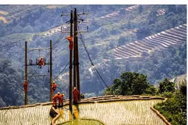 EVN lãi đậm do "chưa tính đủ chi phí vào giá điện"!