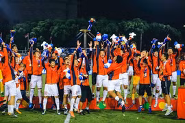 Tự hào quá Việt Nam!