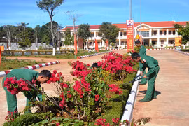 Sư đoàn 320 xây dựng doanh trại xanh-sạch-đẹp