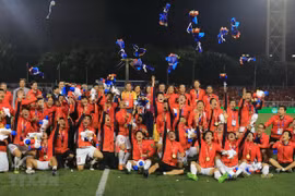 Tinh thần và ý chí Việt Nam