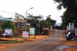 Đánh thức mầm xanh