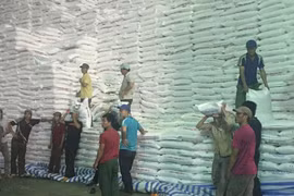 Hội nhập ATIGA, làm sao để không bất công với mía đường Việt Nam?