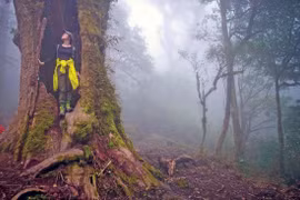 Lạc bước Tả Liên Sơn