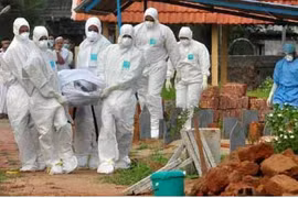 Cảnh báo đáng sợ về virus Nipah chết chóc