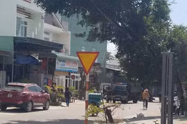 Gia Lai: Phá đường dây cá độ bóng đá hàng trăm tỷ đồng