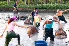 Các xu hướng du lịch năm 2020