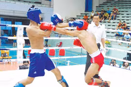 Thể thao thành tích cao Gia Lai: "Bức tranh" rực rỡ